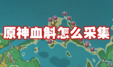 原神血斛怎么采集