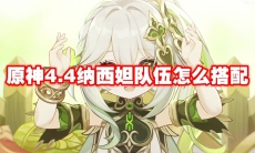 原神4.4纳西妲队伍怎么搭配
