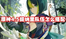 原神4.5提纳里队伍怎么搭配