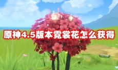 原神4.5版本霓裳花怎么获得
