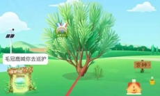 支付宝能量保护罩怎么获得