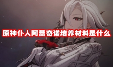 原神仆人阿蕾奇诺培养材料是什么