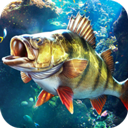 欢乐钓鱼大师手游下载