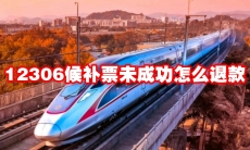 12306候补票未成功怎么退款