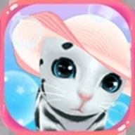 晴天小猫手游下载