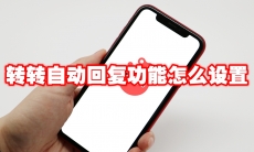转转自动回复功能怎么设置