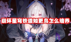 崩坏星穹铁道知更鸟怎么培养
