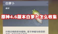 原神4.6版本白萝卜怎么收集