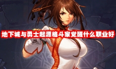 地下城与勇士起源格斗家觉醒什么职业好