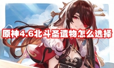 原神4.6北斗圣遗物怎么选择