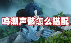鸣潮声骸怎么搭配