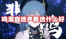 鸣潮自选声骸选什么好