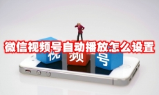 微信视频号自动播放怎么设置