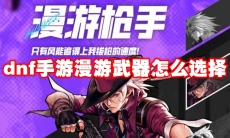 dnf手游漫游武器怎么选择