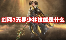 剑网3无界少林技能是什么
