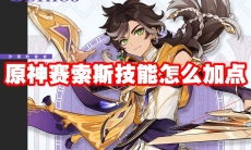 原神赛索斯技能怎么加点