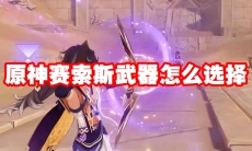 原神赛索斯武器怎么选择