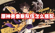 原神赛索斯队伍怎么搭配