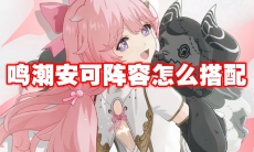 鸣潮安可阵容怎么搭配