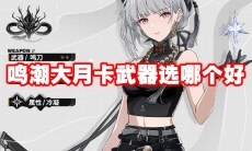 鸣潮大月卡武器选哪个好