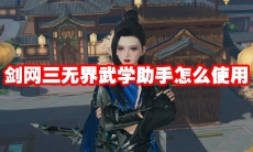 剑网三无界武学助手怎么使用