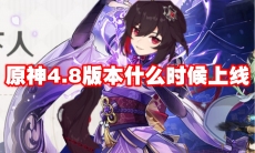 原神4.8版本什么时候上线