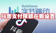 抖音支付限额在哪设置