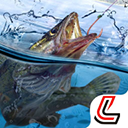 天天钓鱼手游下载