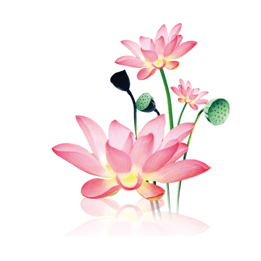 水墨工具箱软件下载