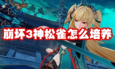 崩坏3神松雀怎么培养