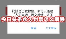 今日头条永久封禁怎么解除