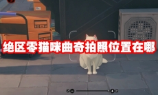 绝区零猫咪曲奇拍照位置在哪