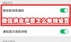 微信消息声音怎么单独设置