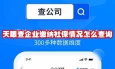 天眼查企业缴纳社保情况怎么查询