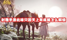 射雕手游此味只因天上有成就怎么解锁