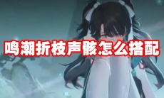 鸣潮折枝声骸怎么搭配