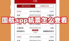 国航app机票怎么查看