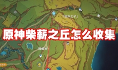 原神柴薪之丘怎么收集