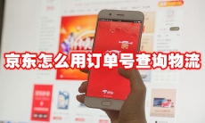 京东怎么用订单号查询物流