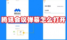腾讯会议弹幕怎么打开
