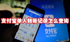支付宝单人转账记录怎么查询