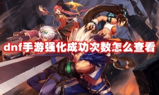 dnf手游强化成功次数怎么查看