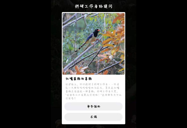 《支付宝》蚂蚁森林保护地巡护答案是什么