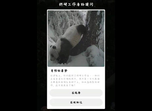《支付宝》蚂蚁森林保护地巡护答案是什么