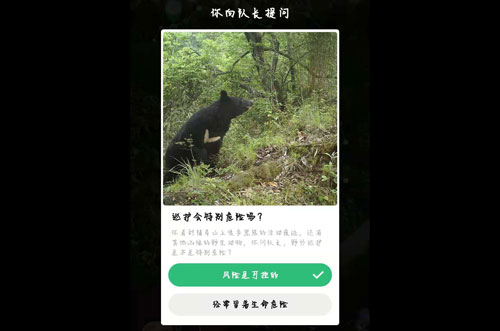 《支付宝》蚂蚁森林保护地巡护答案是什么