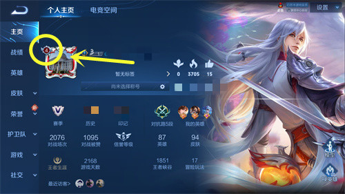 王者荣耀贵族在哪看