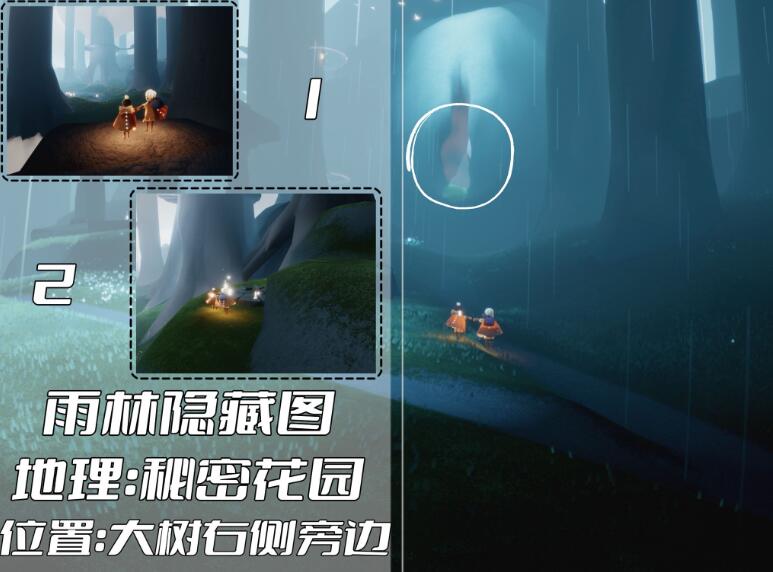 光遇雨林冥想位置在哪