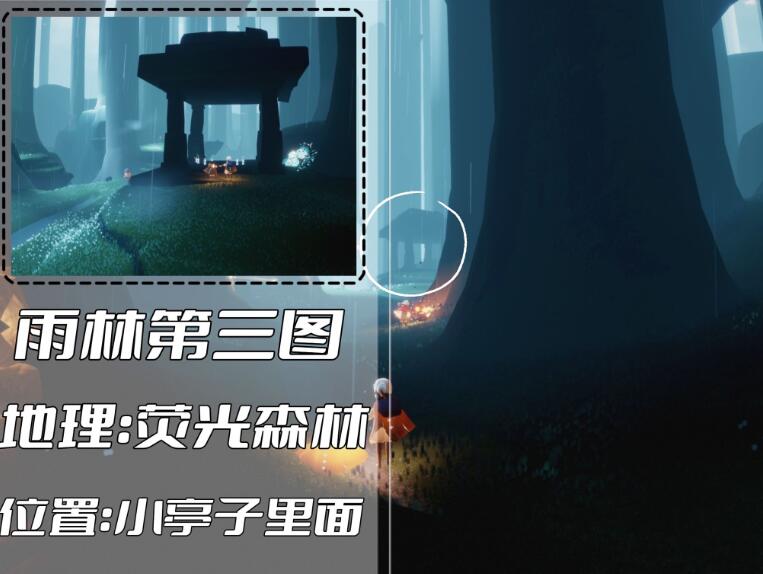 光遇雨林冥想位置在哪