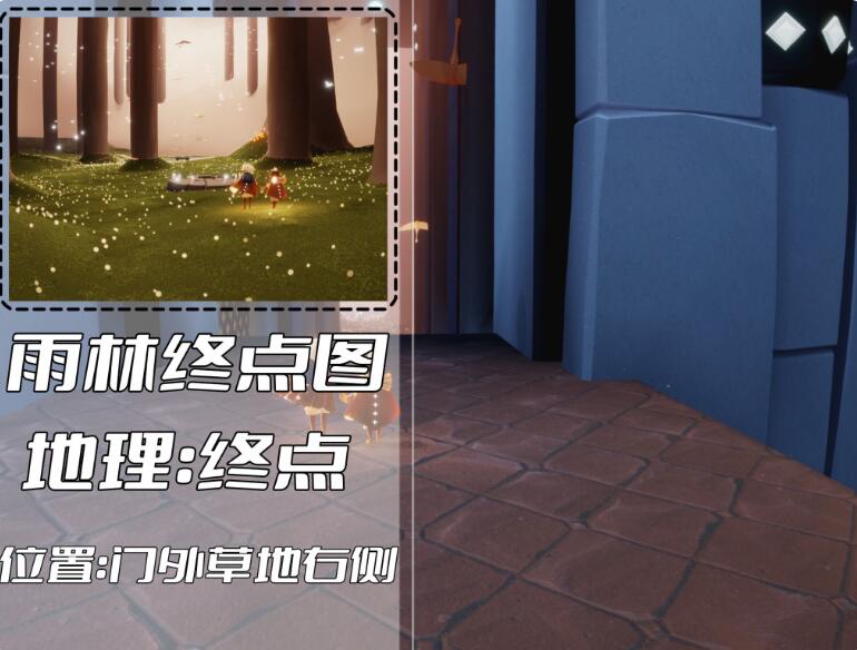 光遇雨林冥想位置在哪