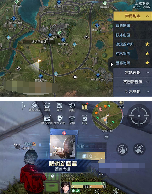 黎明觉醒藏宝图蔬菜大棚在哪可以在找到